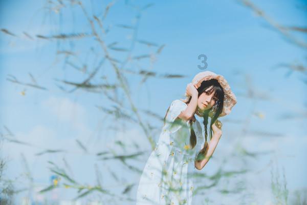 木受绳则直,金就砺则利,行政庭召开发改案件评析会对症施策、以评促改